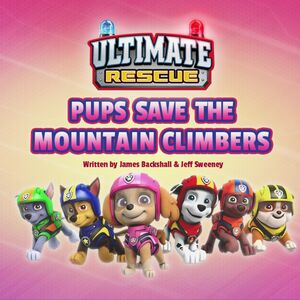 paw patrol rubble mountain