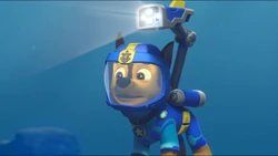 Chase | PAW Patrol Wiki | Fandom
