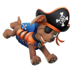 Zuma pirate paw clearance patrol