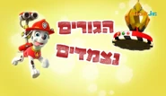 מפרץ ההרפתקאות הגורים נצמדים.png (521 KB) "Pups Get Stuck" ("הגורים נצמדים") title card on Nick Jr.