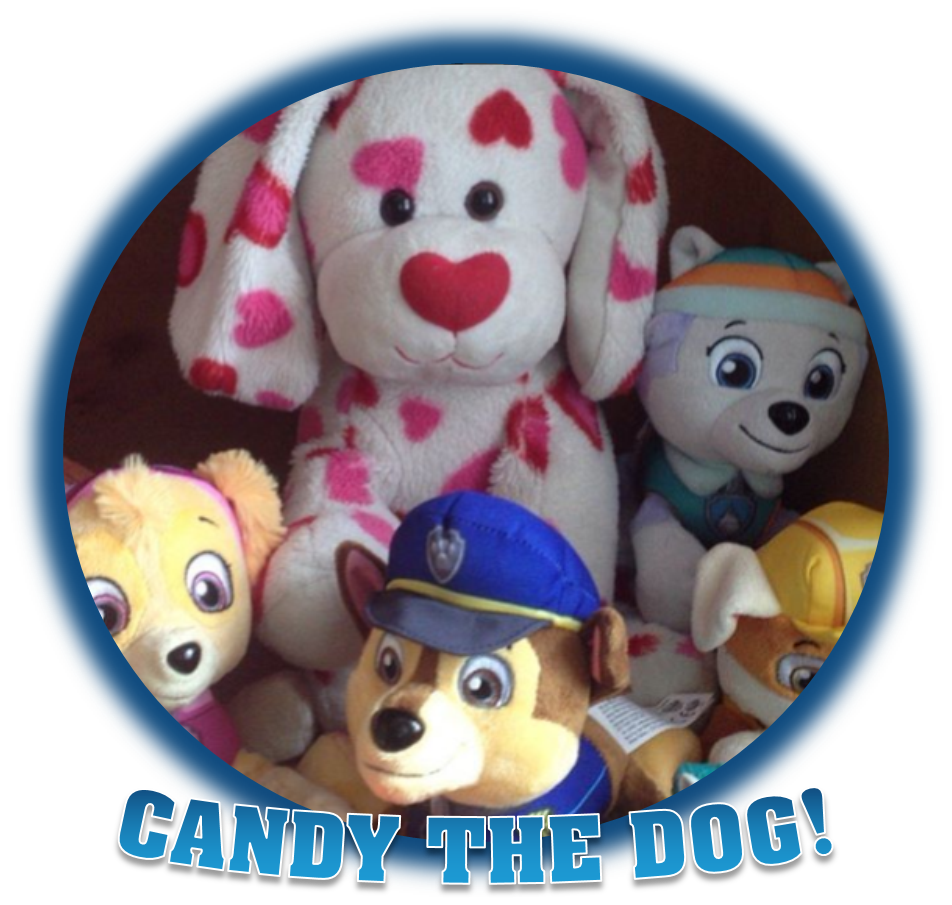 paw patrol teddy argos