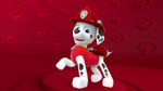 Marshall from paw patrol by lah2000 ddoog2i-fullview