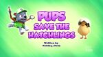 Pups Save the Hatchlings (TVO)