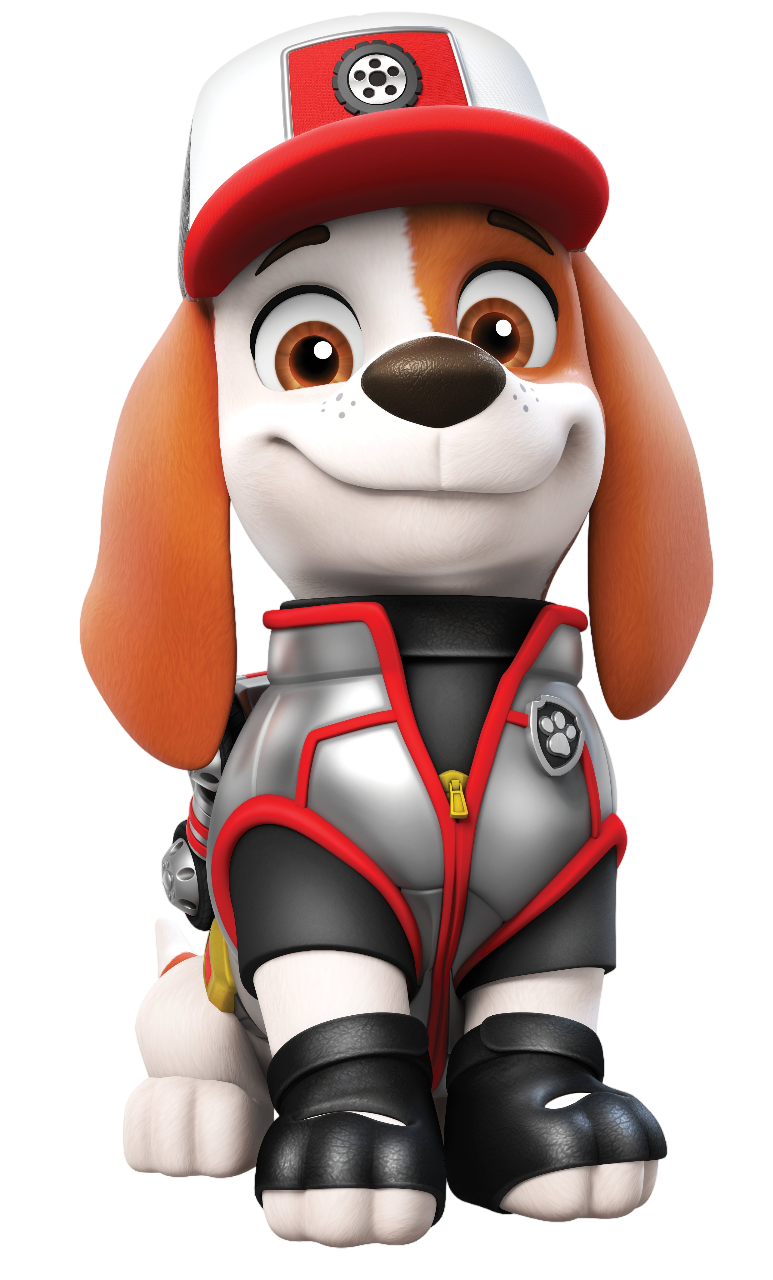 what kind of dogs are in paw patrol