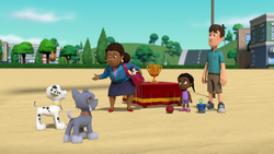 Paw sales patrol sand