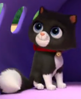 Unnamed Black Cat
