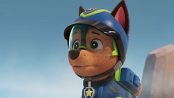 Spy paw patrol outlet