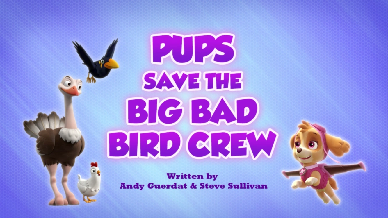 Pups Save the Big Bad Bird Crew | PAW 