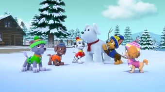 Paw patrol winter Clearance