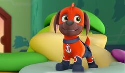 Zuma | PAW Patrol Wiki | Fandom