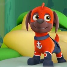 zuma pup paw patrol