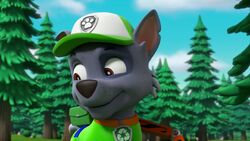 Rocky/Gallery, PAW Patrol Wiki, Fandom