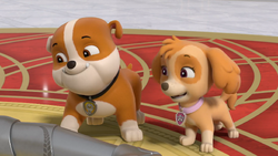 Rescue Knights: Pups Save Excalibark, PAW Patrol Wiki