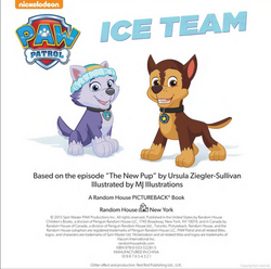 7) Paw Patrol Books - Pups to The Rescue, Ice Team, Pup, Pup and Away  Plus!!