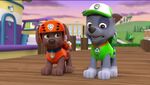 PAW Patrol Monkey-naut Scene Rocky Zuma