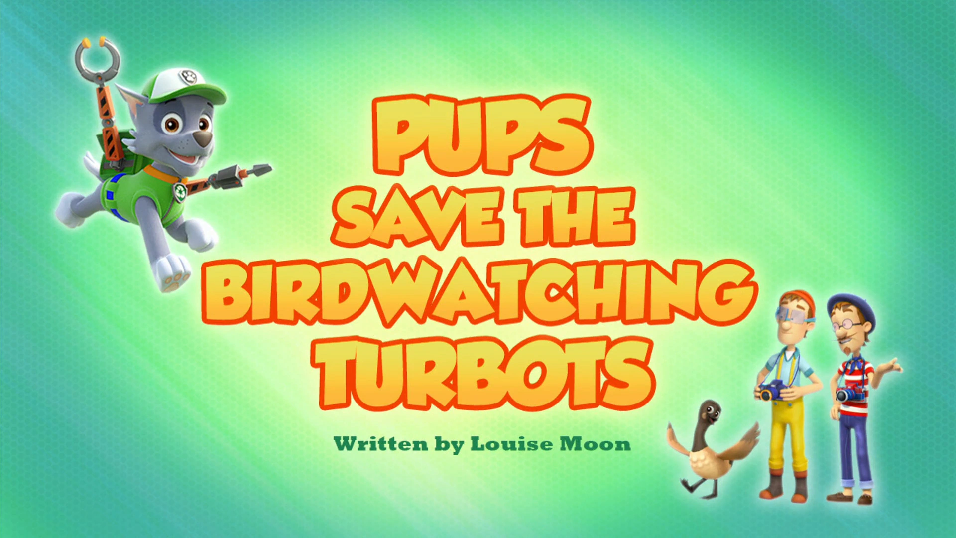 Pups Save the Birdwatching Turbots 
