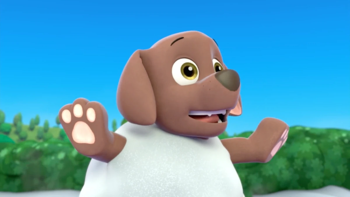 Paw Patrol Pups Save A Pool Day Zuma/Gallery/Pups Save a Pool Day | PAW Patrol Wiki | Fandom