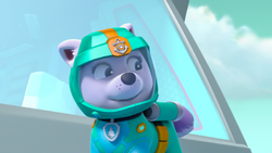 Paw patrol sea patrol everest best sale