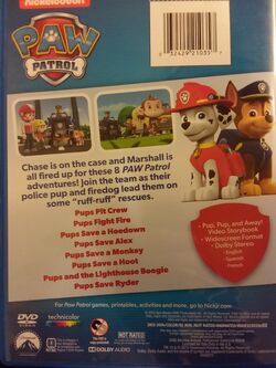 Paw patrol marshall & hot sale chase on the case