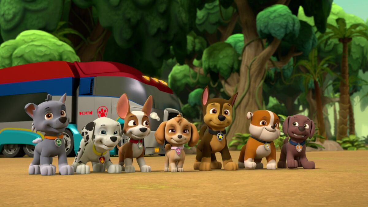 Rockygallerypups Save Bedtime Paw Patrol Wiki Fandom 8700