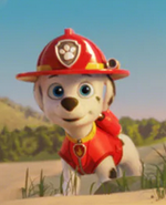Standard outfit (PAW Patrol: The Movie)