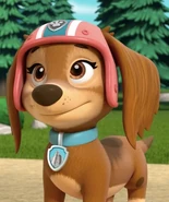 Liberty | PAW Patrol Wiki | Fandom