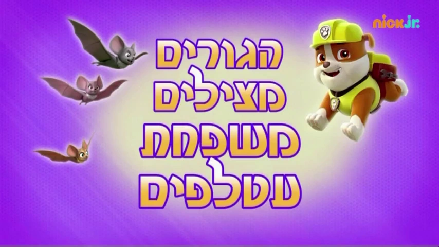 Pups Save a Bat Family | PAW Patrol 