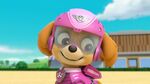 Paw.Patrol.S03E07.Air.Pups.720p.NICK.WEBRip.AAC2.0.H.264-RTN 319954