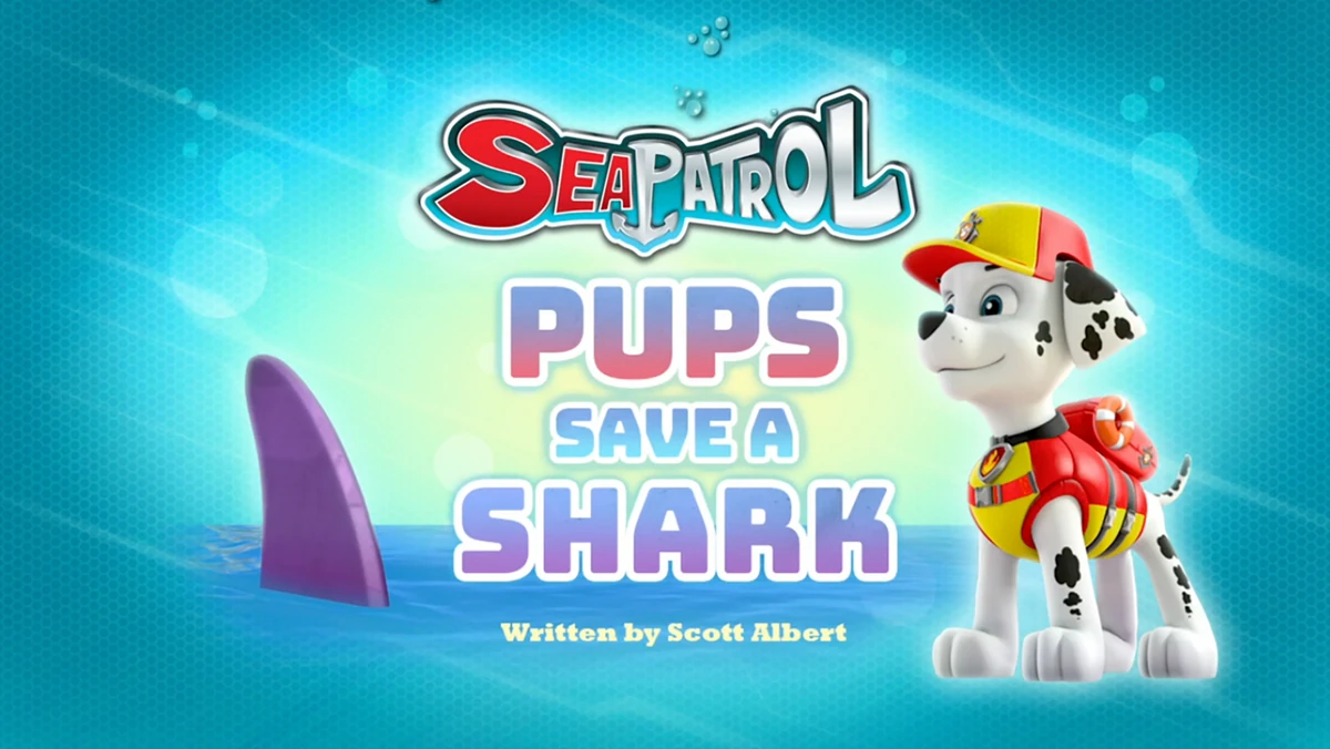 Sea Patrol: Pups Save a Shark | PAW 