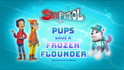 Paw patrol sea patrol everest best sale