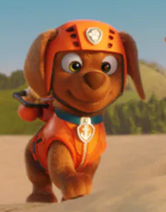 Personaggio Paw Patrol Zuma con Aeroscafo Rescue Knights