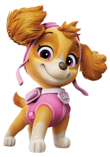 Skye paw patrol plane deals