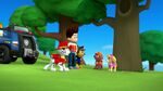 PAW.Patrol.S01E26.Pups.and.the.Pirate.Treasure.720p.WEBRip.x264.AAC 914881