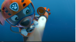 Paw Patrol Character Spot - Zuma 