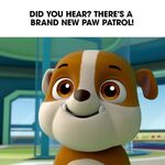 PAW Patrol Rubble