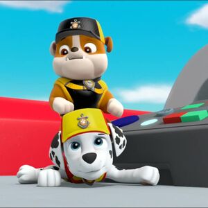 paw patrol sea patrol zuma
