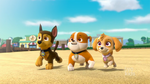 PAW Patrol 318B Scene 52 Rubble Chase Skye