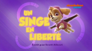 "Pups Go All Monkey" ("Un singe en liberté") title card on Nickelodeon Junior