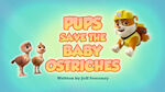 Pups Save the Baby Ostriches (HQ)