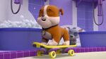 PAW.Patrol.S01E15.Pups.Make.a.Splash.-.Pups.Fall.Festival.720p.WEBRip.x264.AAC 87788