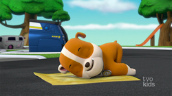 Rubble s blanket PAW Patrol Wiki Fandom