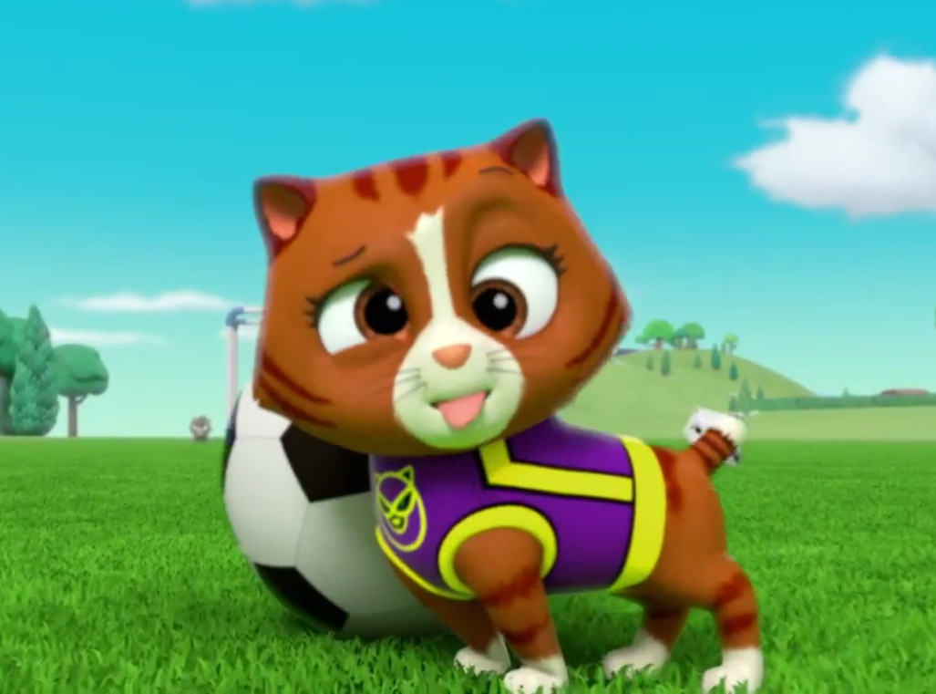 paw patrol cat