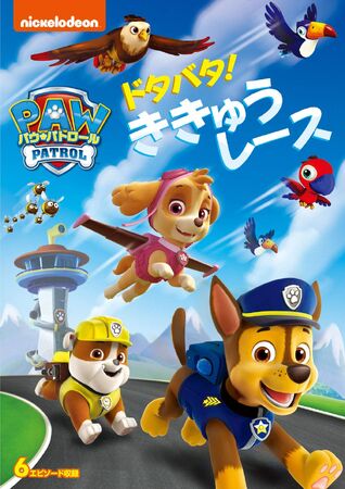 ドタバタ！ききゅうレース | PAW Patrol Wiki | Fandom