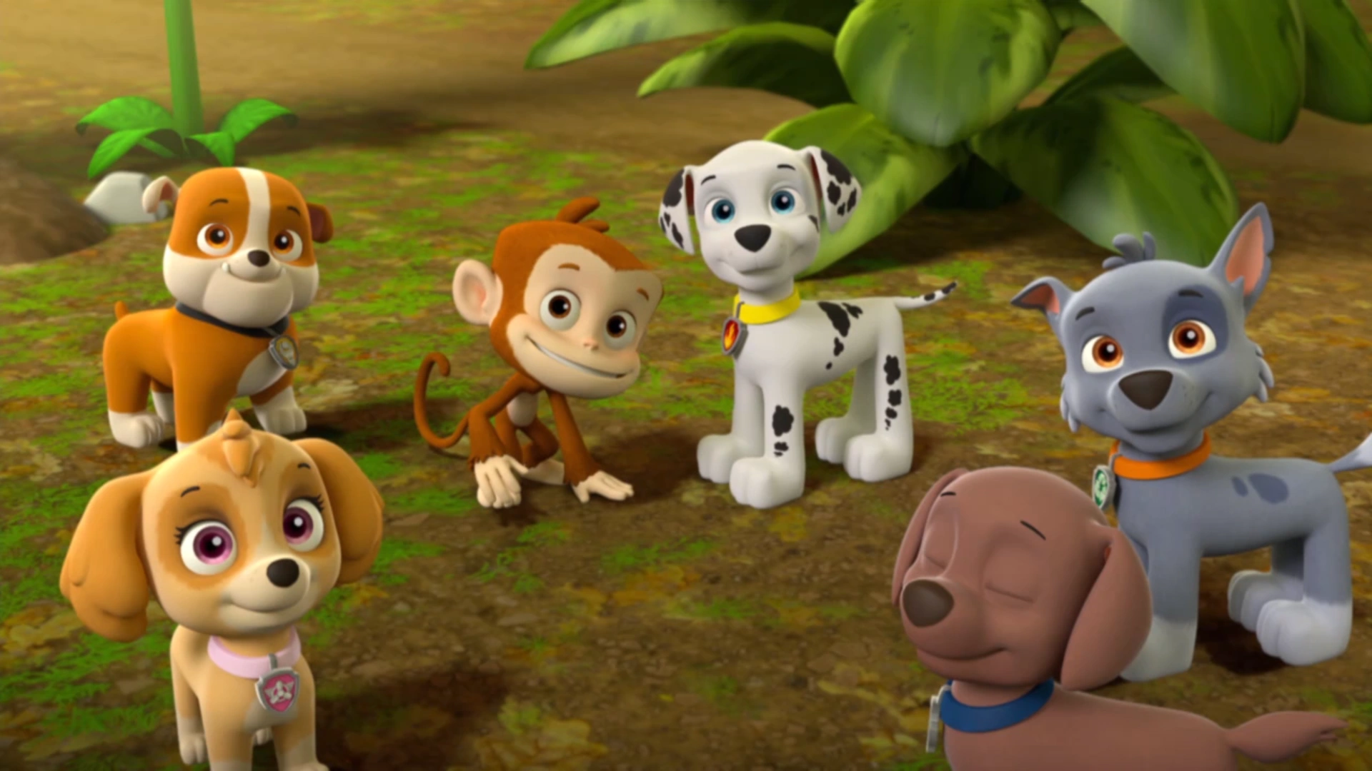 paw patrol jungle pup