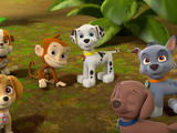 Pups Jungle Trouble/Quotes