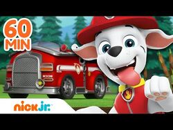 Baby Rubble Joins the PAW Patrol! w/ Marshall & Chase, 30 Minute  Compilation