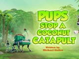Pups Stop a Coconut Catapult
