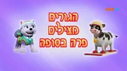 מפרץ ההרפתקאות הגורים מצילים פרה בסופה.png (508 KB) "Pups Save a Snowbound Cow" ("הגורים מצילים פרה בסופה") title card on Nick Jr.