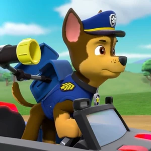 paw patrol pups save a space toy