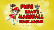 Pups Leave Marshall Home Alone (HD)